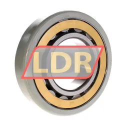 SKF NU319ECM/C3VL0241 rulman resim 2