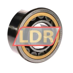 SKF NU2313ECML/C3
