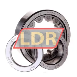 SKF NUP309ECJ rulman resim 2