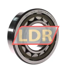 SKF NU317ECP