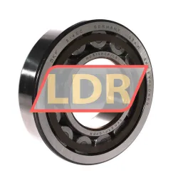 SKF NU314ECP/C3