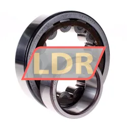 SKF NU313ECP rulman resim 2