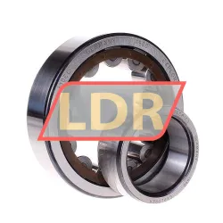 SKF NU310ECP/C3