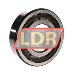 SKF NJ313ECP/C4