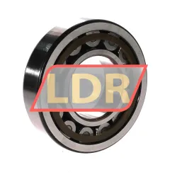 SKF NJ313ECP/C4 rulman resim 2