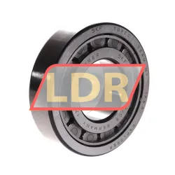 SKF NJ309ECJ/C3