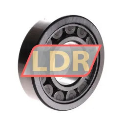 SKF NJ309ECJ/C3 rulman resim 2
