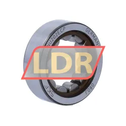 SKF RNU202ECP