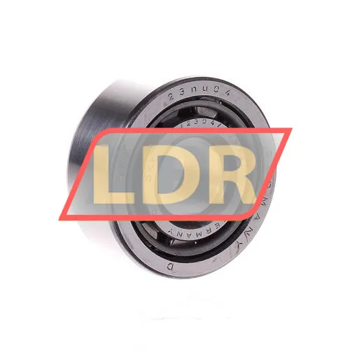 SKF NJ2304