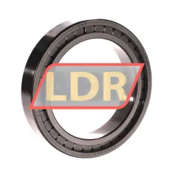 SKF NCF2920CV