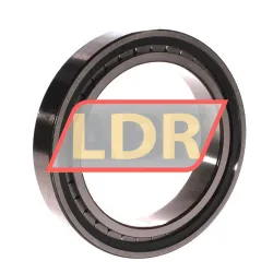 SKF NCF2920CV rulman resim 2