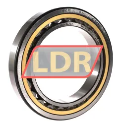 SKF NU1024ML/C3