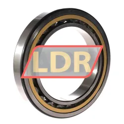 SKF NU1024ML/C3 rulman resim 2