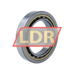 SKF NU1017ML