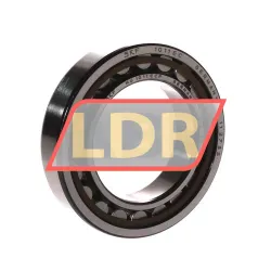 SKF NU1011ECP