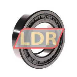 SKF NUP2216ECJ/VS111