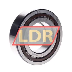 SKF NUP2213ECP
