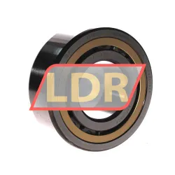 SKF NJ2312ECML/C4VQ015