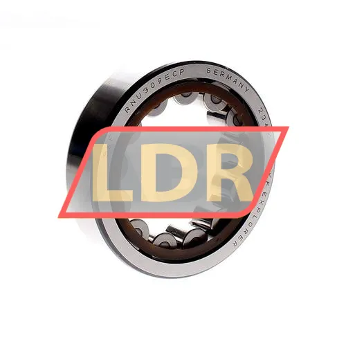 SKF RNU309ECP