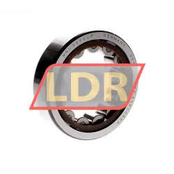 SKF RNU309ECP
