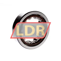 SKF RNU309ECP rulman resim 2