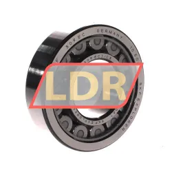SKF NU309ECJ/C3