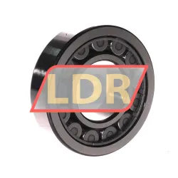 SKF NU309ECJ/C3 rulman resim 2