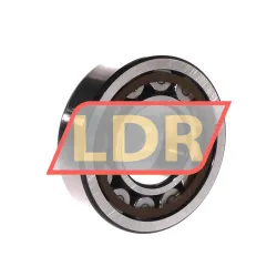 SKF NJ308ECP/C3 rulman resim 2