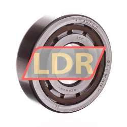 SKF NJ305ECP