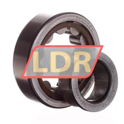 SKF NJ305ECP rulman resim 2