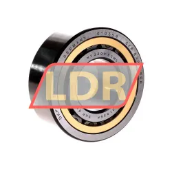 SKF NJ2309ECML/C3