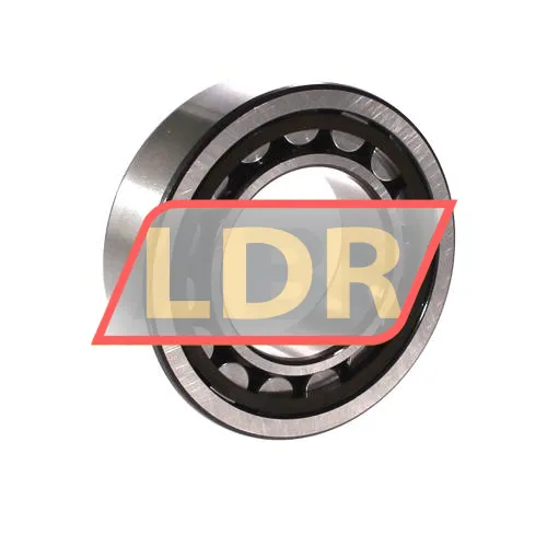 SKF NJ2209ECP ürün fotoğrafı 2