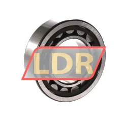 SKF NJ2209ECP rulman resim 2