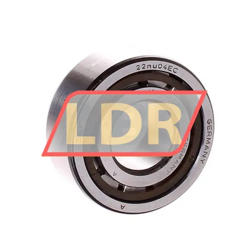 SKF NJ2204ECP