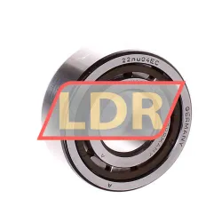 SKF NJ2204ECP