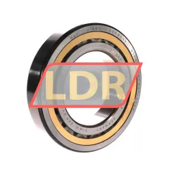 SKF NJ218ECML/C3