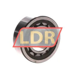 SKF NJ2206ECP/C4VQ015 rulman resim 2