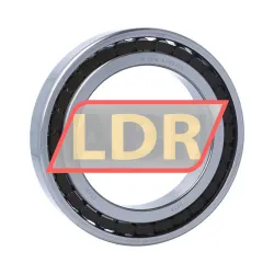 SKF N1019KTN9/SP