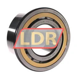 SKF NJ2317ECML/C4