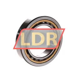 SKF NU1010ML/C3 rulman resim 2