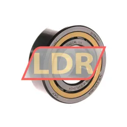 SKF NJ2206ECML/C4