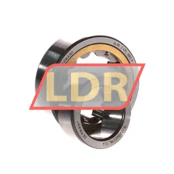 SKF NJ2206ECML/C4 rulman resim 3