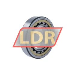 SKF NU211ECML/C3B20