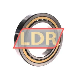 SKF NU1018M/C4VA301 rulman resim 2