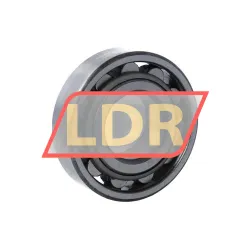 SKF N307 rulman resim 2