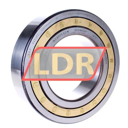 SKF NJ2220ECM