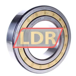 SKF NJ2220ECM
