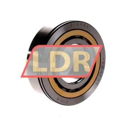 SKF 314984