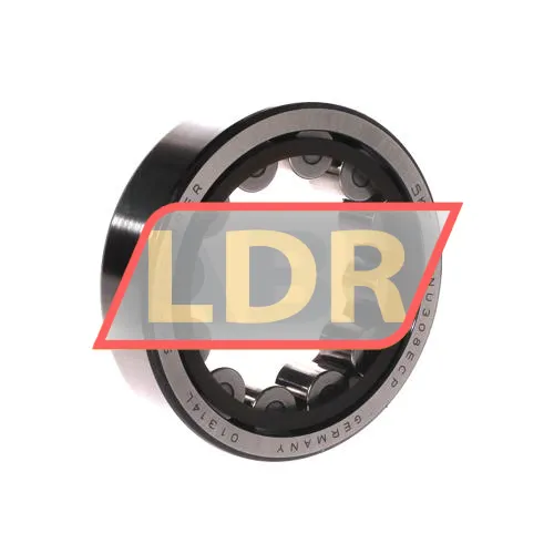 SKF RNU308ECP