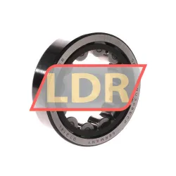 SKF RNU308ECP